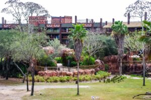 Animal Kingdom Lodge Animal Viewing Areas