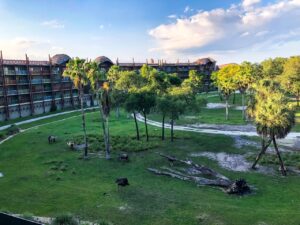 Animal Kingdom Lodge Savannah View