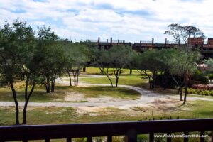 Balcony View from Animal Kingdom Lodge