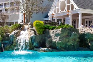 Pool Landscaping at Beach Club