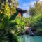 Tropical Paradise at Disney's Polynesian Village Resort