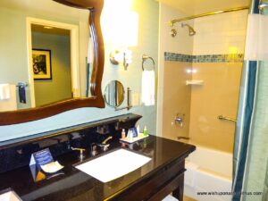 Bathroom Counter at Disneyland Hotel