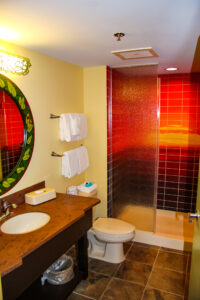 Lion King Family Suite Bathrooms at Art of Animation