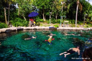 Snorkel in Shark Reef at Typhoon Lagoon