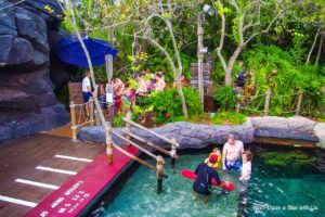 Typhoon Lagoon Shark Reef