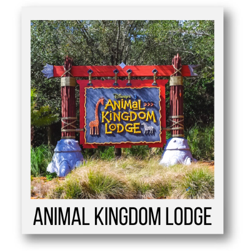 Animal Kingdom Lodge