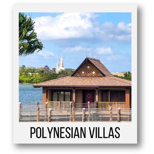 Polynesian Villas and Bungalows