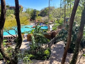 Pool View Room at Animal Kingdom Lodge