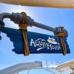 AquaMouse on the Disney Wish