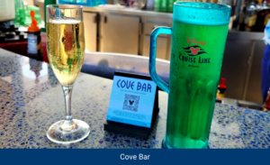 Cove Bar Disney Dream