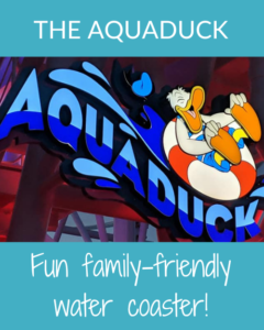 The AquaDuck on the Disney Dream