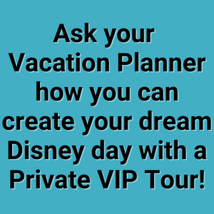 Ask your Vacation Planner how you can create your dream Disney day with a Private VIP Tour at Walt Disney World