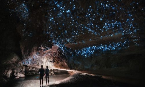 Waitomo Glow Worm Cave in New Zealand with Kensington Tours