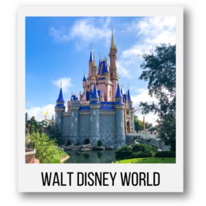 Group Disney World Vacation - Wish Upon a Star with Us - Your Group Travel Specialists! (1)