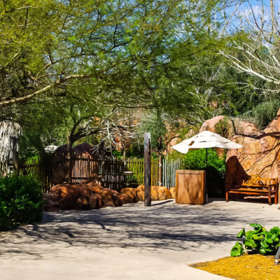Animal Kingdom Lodge Has Many Animal Viewing Areas