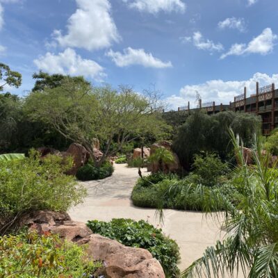 Animal Kingdom Lodge Pathways and Viewing Areas