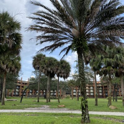 Animal Kingdom Lodge Savanna