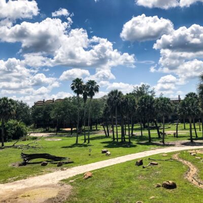 Animal Kingdom Lodge Savanna View