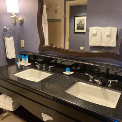 Bathroom Vanity at the Disneyland Hotel