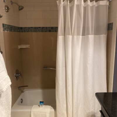 Bathroom at the Disneyland Hotel