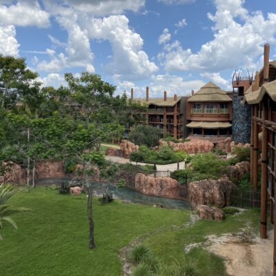 Savanna View Rooms at Animal Kingdom Lodge