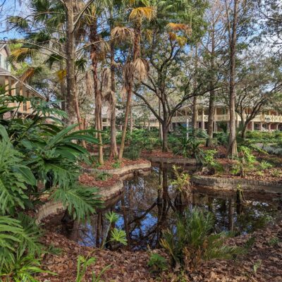 Bayou Theme at Disney's Port Orleans Resort - Riverside