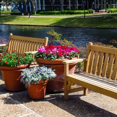 Disney's Port Orleans Resort - Riverside Sits Along Sassagoula River