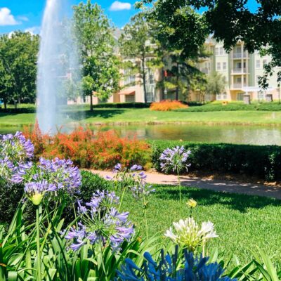 Landscaping at Disney's Saratoga Springs Resort