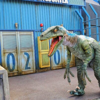 Raptor Encounter at Universal Hollywood