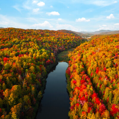 Cruise with Holland America Line