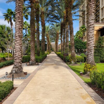 Landscaping at the Four Seasons Orlando